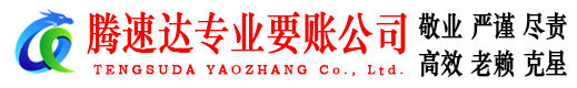 新兴讨账公司